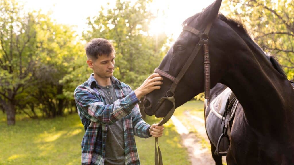 benefit from equine therapy