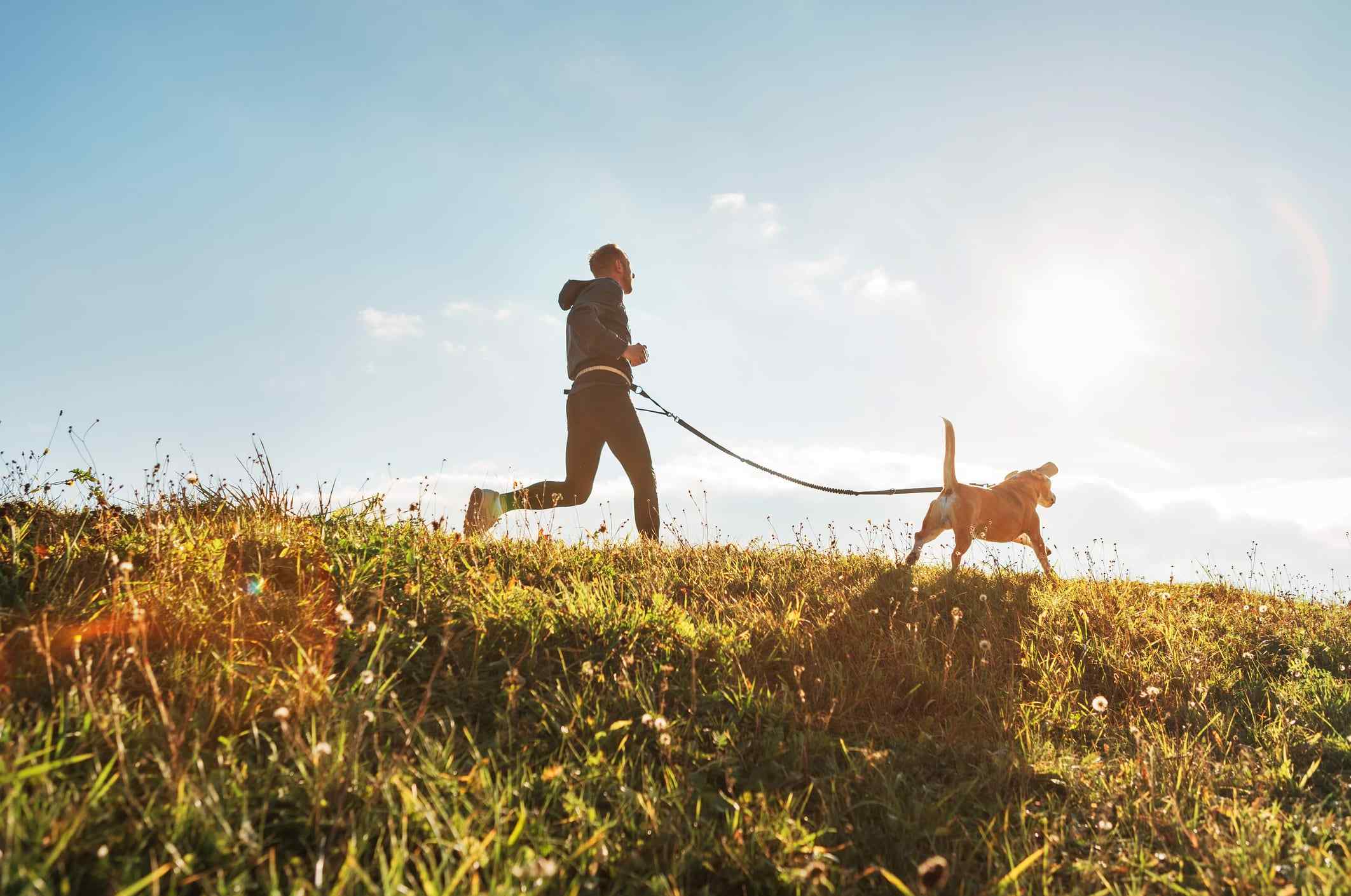 A person jogs with a dog on a leash across a sunlit grassy hill. The clear blue sky and bright sun create a vibrant, energetic atmosphere.