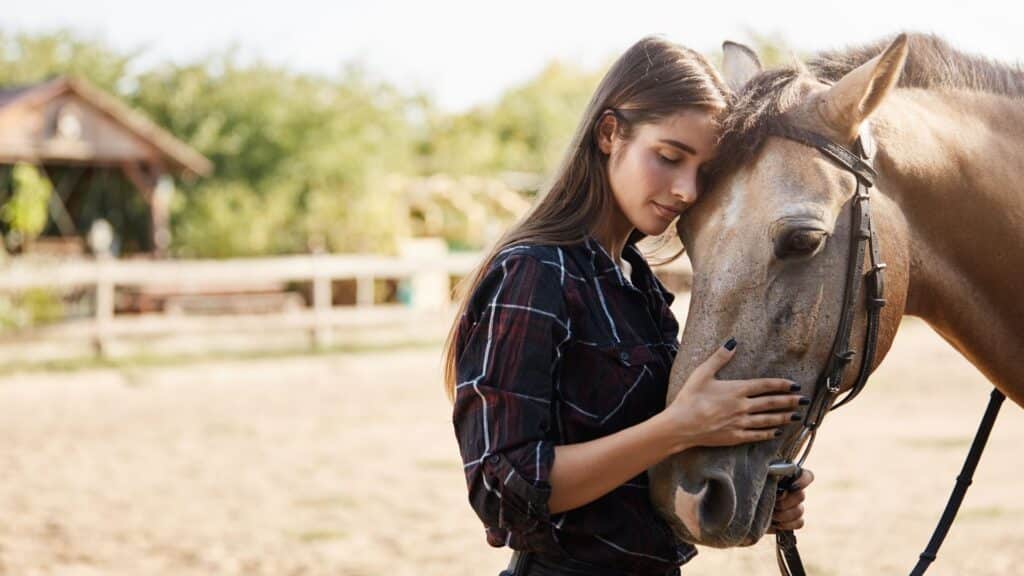 horse therapy