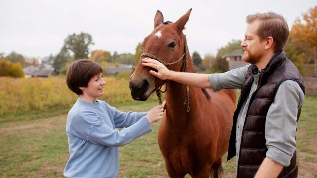 equine therapy offers