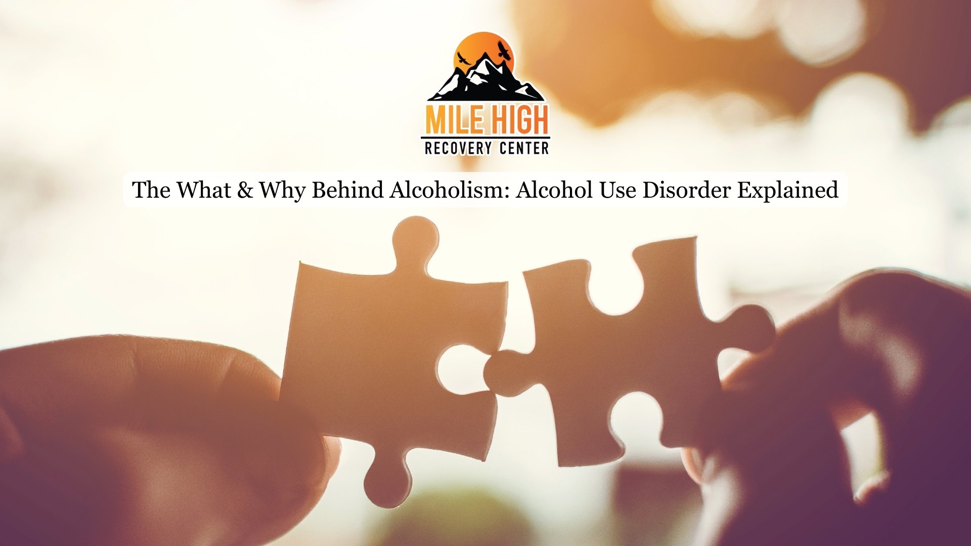 The What & Why Behind Alcoholism Alcohol Use Disorder Explained