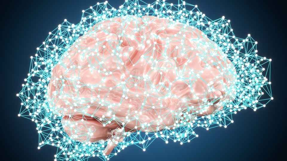What Does Cocaine Feel Like It affects and stimulates different centers of your brain to feel reward chemicals.