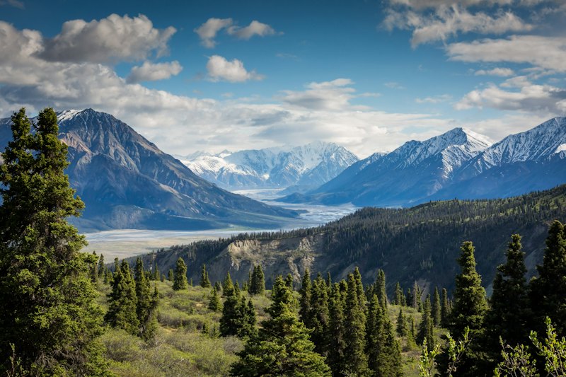 Snow-capped mountains rising above a forested valley